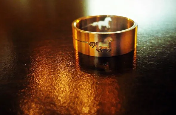 Căi neurobiologice și de mediu către dependență: perspective asupra riscului și rezilienței la adolescenți