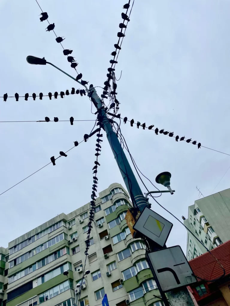 Normele culturale și logica socială a Schadenfreude: Cum modelează contextul plăcerea în nenorocirea altora